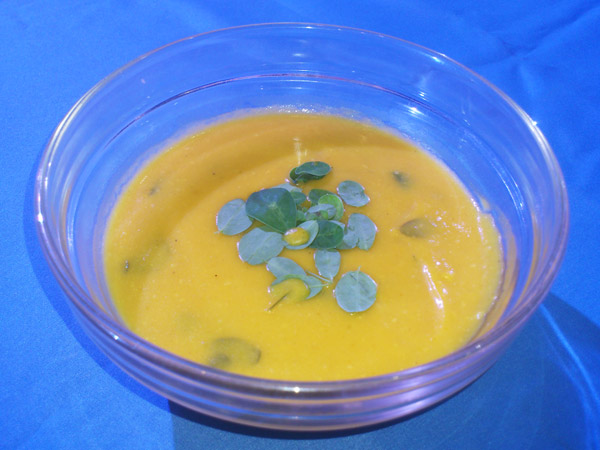 Moringga Squash Cream Soup