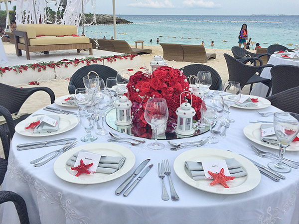 Beachfront Wedding Venue